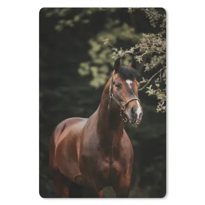 Produktbild von MuchoWow® Mauspad Mousepad Pferd - Äste - Porträt 18x27 cm - Mousepads - Maus Mat - Pad - Mausunterlage