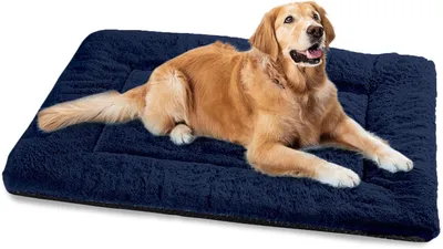 Produktbild von Hundebett Baodan Waschbares Hundebett für große Hunde, 122 x 75 cm, flauschiges Hundebett mit rutschfester Unterseite, XXL-Hundebetten für große Hunde