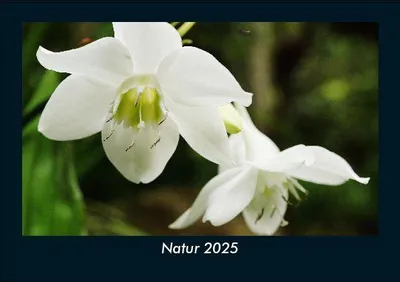 Produktbild von Natur 2025 Fotokalender DIN A5