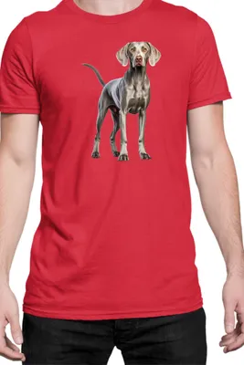 Obrázok produktu pre Mužské Tričko Dogs Breeds Weimaraner Dog Breed 005, Man M / Červená