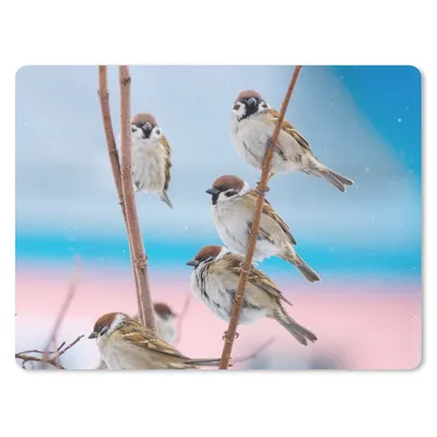 Produktbild von MuchoWow® Mauspad Mousepad Vögel - Spatz - Tiere - Äste 23x19 cm - Mousepads - Maus Mat - Pad - Mausunterlage - Schreibtischunterlage - Mauspad