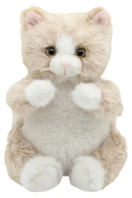 Image de Pour les enfants, peluche chat Tiny - Beige | par Cute