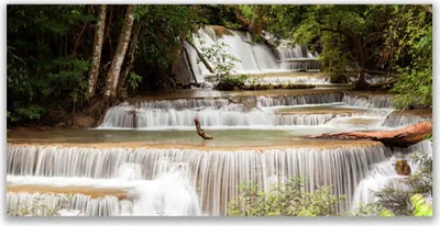Produktbild von Acrylglasbilder 120x60 Wandbild Druck Wasserfall Wald Natur