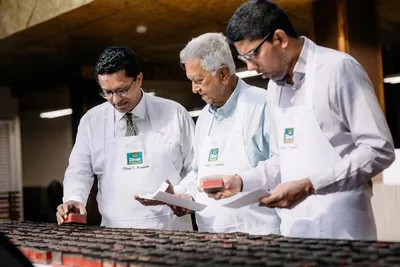 Obrázok produktu pre Dilmah ovocný čaj s príchuťou maliny a kokosu, 20 vrecúšok