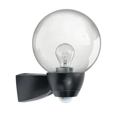 Image de ESYLUX Lampe à détecteur 77W HV Gl_klar E27 sw mt IP44