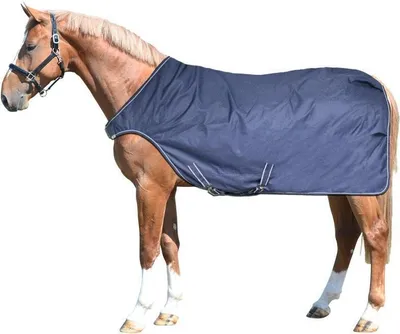 Produktbild von EQuest Führanlagendecke Kingston, Outdoordecke, Größe:L 145 cm