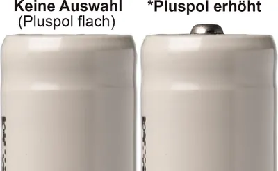 Produktbild von Molicel INR21700-P50B, 5000mAh Li-Ionen-Akku, 3,6V - 3,7V -21700 Akku 60A für besonders hohe Ströme erhöhter Pluspol
