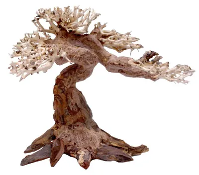 Aquarium-Deko Oriental Wind 5, Holz, 25x10x18 cm