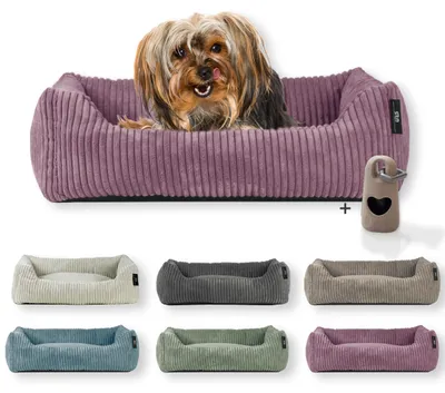 Produktbild von Rohrschneider Hundebett waschbar für kleine und mittelgroße Hunde mit Hundekissen Cord inkl. Gassibeutel, Farbe:salbei 55cm, Muster:Cordstoff breit
