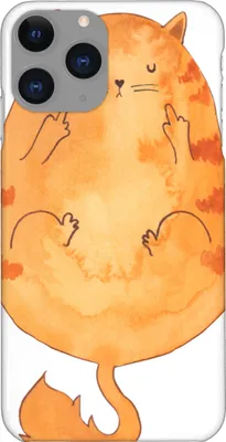 Produktbild von Mr. & Mrs. Panda Iphone 11 Pro Handyhülle Katze Mittelfinger - Weiß - Geschenk, Tiger, Cats, Genervt, Katzen, Premium Kunststoff, Handy Case, Cat