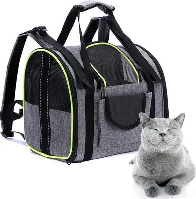 Produktbild von Famanu Haustier-Rucksack faltbare Tragetasche für Haustiere - Grau und Grün