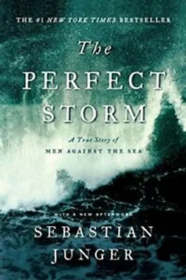 Image de The Perfect Storm