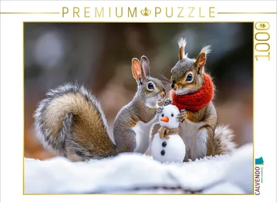 Produktbild von CALVENDO Puzzle Eichhörnchen | 1000 Teile Lege-Größe 64x48cm Foto-Puzzle für glückliche Stunden