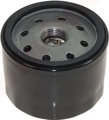 Image de Filtre à huile Pour Briggs & Stratton D76Xh61 3/4-16Unf ( 492932S, 492056, 492932 , 696854 )