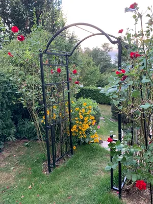 Zdjęcie produktu dla GardenAndPools Łuk różany Classic Garden B 1,40 m pergola ze stali łuk różany rdza Kolumna różana