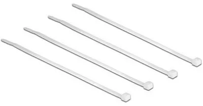 Immagine prodotto di Fascette DELOCK 100mm 100pz trasparenti