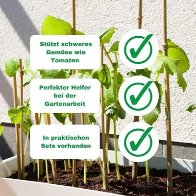 Produktbild von Famanu Bamboostäbe 105 cm - 5 Stück - Pflanzenstütze und Kletterhilfe für Garten und Haus