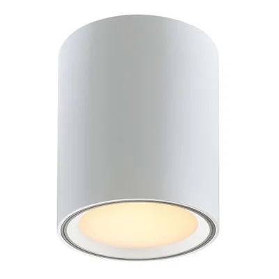 Immagine prodotto di Faretti LED Fallon con dimmer Moodmaker bianco