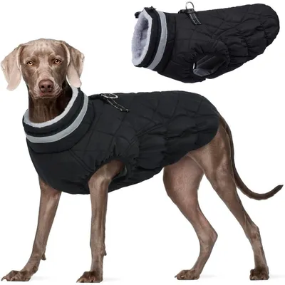 Produktbild von Wintermantel für große Hunde, winddicht & wasserdicht, mit Fleecefutter, Reflektoren, XL, Schwarz