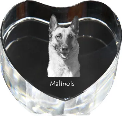 Immagine prodotto di Malinois Pastore belga - foto del cane in cristallo, cuore di cristallo, cornice unica con foto del marchio Art-Dog