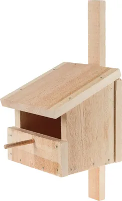 Produktbild von Nisthöhle Nistkasten Holz Bausatz 12 J.