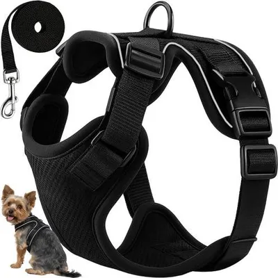 Image de Harnais sans pression pour chien et chat avec laisse, taille S