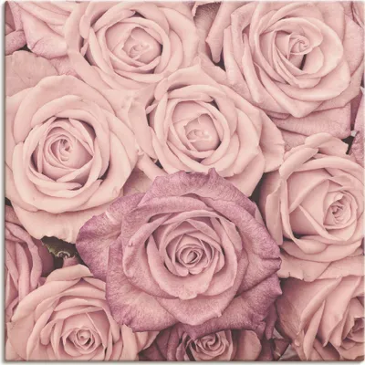 Produktbild von ARTland Leinwandbild Rosen Größe: 100x100 cm