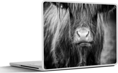 Produktbild von MuchoWow® Laptop Aufkleber Sticker Cover Schottisches Hochlandrind - Kuh - Schwarz - Weiß - Tiere 30x21 cm - Sticker für Laptop - Selbstklebend