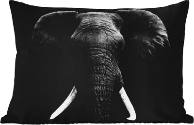 Produktbild von MuchoWow® Outdoor Kissen - Elefant - Wildtiere - Schwarz - Weiß - Porträt - 50x30 cm - Wetterfest - Lounge Kissen - Sofa kissen - Wohnzimmer Dekoration
