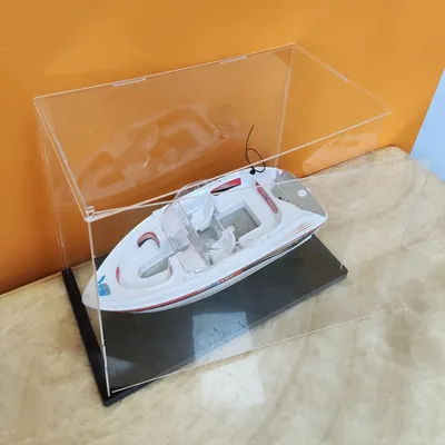 Imagen del producto de Elzusha - Vitrina expositora de acrílico con puerta - A prueba de polvo - 50x20x25 cm