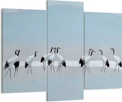 Produktbild von Bild auf Leinwand - Leinwandbild - 3 Teile - Vögel Kraniche Natur - 130x100cm - Wand Bild - Wanddeko - Wandbilder - Leinwanddruck - Bilder - Wanddekoration - Leinwand bilder - CB130x100-4921