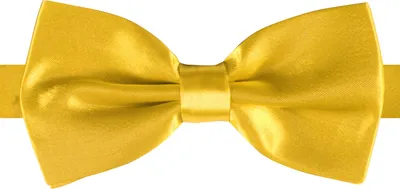 Produktbild von Satin-Fliege gold