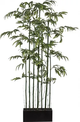 A tall, artificial bamboo plant in a black planter.