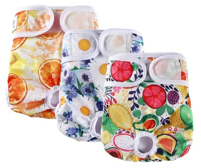 Produktbild von Hundewindel 3er Pack XS Fruits Wiederverwendbar Waschbar Inkontinenz