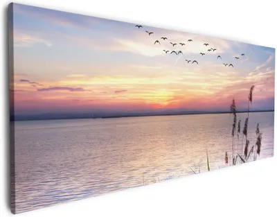 Produktbild von Wallario Premium Leinwandbild Seepanorama mit Schilf und fliegenden Vögeln in Größe 60 x 150 cm