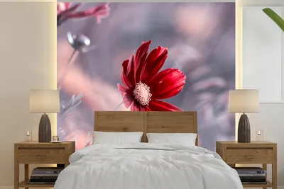 Produktbild von MuchoWow® Fototapete für Wohnzimmer oder Schlafzimmer Wandtapete Vinyl Motivtapete Blumen - Rot - Natur - Pflanzen - 220x220 cm - Tapeten