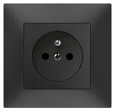Image de Prise électrique murale Elektro-Plast Nasielsk noire 1733-19