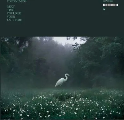 Produktbild von Forgiveness - Next Time Could Be Your Last Time -   - (LP / N)