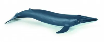 Produktbild von Papo Wild Life Blauwal Kalb 56041