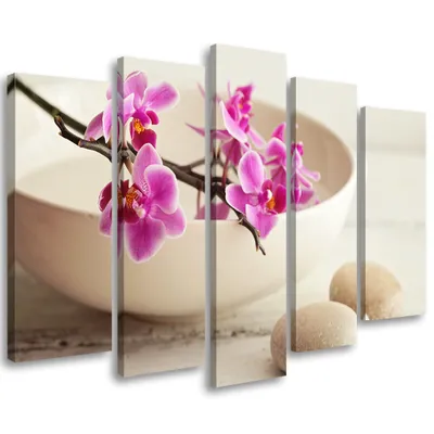 Zdjęcie produktu dla Obraz 5 częściowy na płótnie, Orchidea Miska Kwiaty Beżowy 150x100 cm Feeby biały obraz na ścianę gotowy do powieszenia