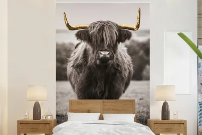Produktbild von MuchoWow® Fototapete für Wohnzimmer oder Schlafzimmer Wandtapete Vinyl Motivtapete Scottish Highlander - Schwarz - Weiß - Gold - 160x240 cm - Vinyltapete
