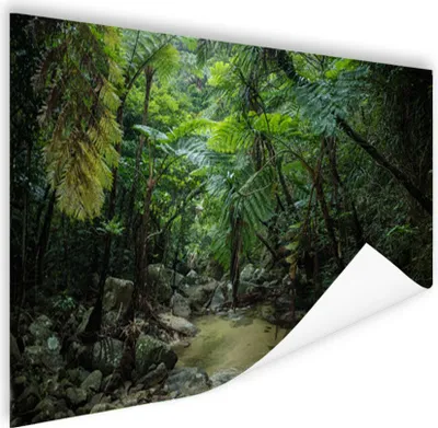 Produktbild von MuchoWow® Poster Fluss im tropischen Dschungel 180x120 cm - Fotoplakat