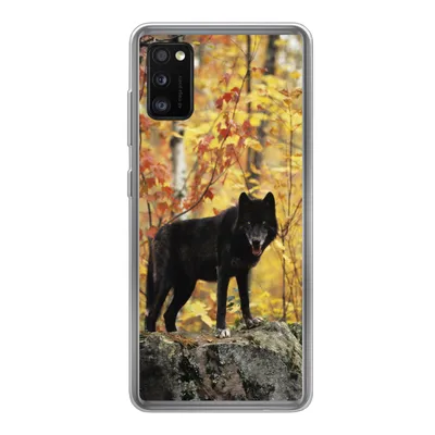 Produktbild von MuchoWow® Handyhülle Schutzhülle Hülle für Samsung Galaxy A41 Wolf - Fels - Baum Silikon Softcase Handy Hülle - Mobiltelefon