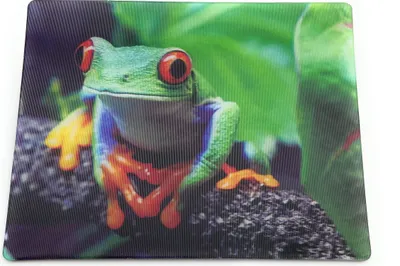 Produktbild von Onwomania Frosch Kröte Froschlurche 9x7cm 3D Magnet Karte Kühlschrankmagnet Magnetbild Heftmagnet Grün