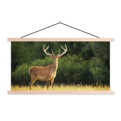Produktbild von MuchoWow® Textilposter Hirsch - Geweih - Gras - Natur - Tiere - Grün 120x60 cm mit holzfarbenen Rahmen - Klemmleiste