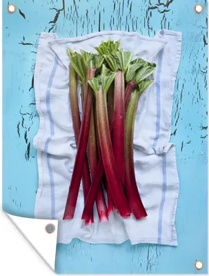 Produktbild von MuchoWow®