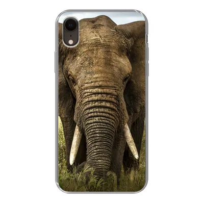 Produktbild von MuchoWow® Handyhülle Schutzhülle Hülle für iPhone XR Elefant - Natur - Gras - Tiere - Landschaft Silikon Softcase Handy Hülle - Schutzdeckel