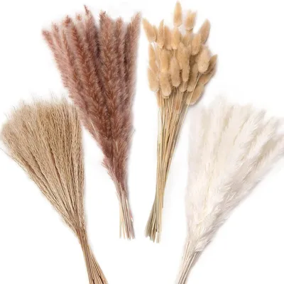 Image de Pampa séché - 110 tiges - Bouquet de fleurs séchées - Lagurus - Mariage - Naturel