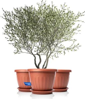 Produktbild von BigDean 3X Blumentopf mit Untersetzer rund ø50xH38 cm Terracotta - wetterfester Pflanzkübel - Wasserablauf UV-beständig aus bruchsicherem Kunststoff