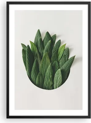 Produktbild von Gerahmtes Poster - Schwarzer Rahmen - Salbei Medizin Blätter - 50x70 cm - Wand Bild - Wanddeko - Wandbilder - Kunstposter - Wandposter - Bilderrahmen - Bilder - Kunstdruck - P2BPA50x70-4859